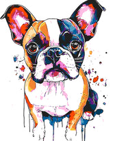 Painting by Numbers Dog Pug in Portrait Modern Animal Art