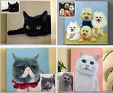 Painting by Numbers From Your Own Photo