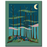 Painting by Numbers Lonely forest I