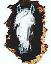 Painting by Numbers Photo Art White Horse in The Wall