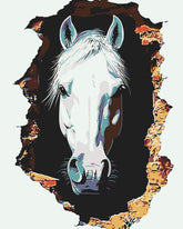 Painting by Numbers Photo Art White Horse in The Wall