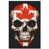 Paint by Numbers Skull Canada
