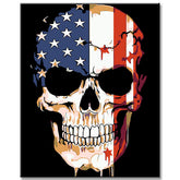 Paint by Numbers Skull USA America