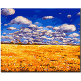 Painting by Numbers Art Nature An Autumn Colored Field with Clouds