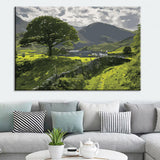 Painting by Numbers Art Nature Green Landscape with Mountains