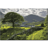 Painting by Numbers Art Nature Green Landscape with Mountains