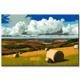 Painting by Numbers Art Nature A Field in Summer
