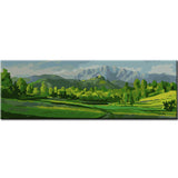 Painting by Numbers Art Nature Green Meadows and Mountains