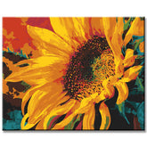 Painting by Numbers Art Nature Sunflower with Head Up