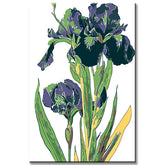 Painting by Numbers Art Nature Purple Flowers with Hanging Head