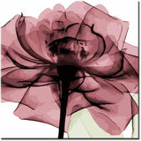 Painting by Numbers Bkumen Rose with Head Up