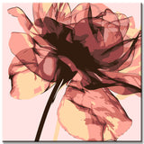 Painting by Numbers Bkumen Rose with Head Up