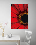 Painting by Numbers African Daisy Shipping from DE
