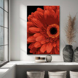 Painting by Numbers African Daisy