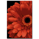Painting by Numbers African Daisy