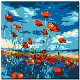 Paint by Numbers Poppy Field