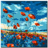 Painting by numbers poppy field shipping from DE-50*50cm-with stretcher frame-with covering service