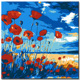 Paint by Numbers Poppy Field in the Dunes