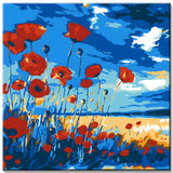 Paint by Numbers Poppy Field in the Dunes