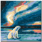 Painting by numbers polar bear and aurora shipping from DE-50*50cm-with stretcher frame-with covering service