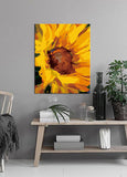 Painting by Numbers Art Painting Sunflower III