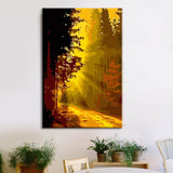 Painting by numbers Shining light in the forest Shipping from DE
