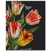 Painting by numbers tulips flowers