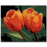 Painting by Numbers Two Tulips