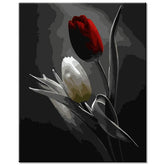Painting by Numbers Red and White Tulip Black and White Shipping from DE