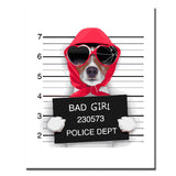 Painting by Numbers Art Criminal Dog with Sunglasses and Bandana