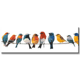 Painting by Numbers Art Animal Many Colorful Birds Sit on Hangers on A Leash