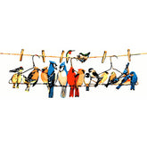 Painting by Numbers Art Animal Many Colorful Birds Sit on Hangers on A Leash
