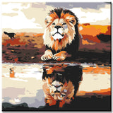 Painting by Numbers Art Animal Little Lion is Reflected in The Water and Grows Up