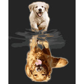 Painting by numbers art animal small dog puppy reflected in the puddle