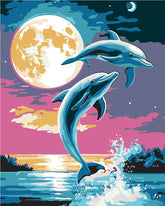 Painting by Numbers Art Animal Dolphin in The Full Moon