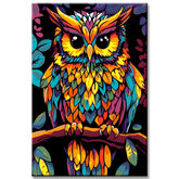 Painting by Numbers Bird Eagle Owl Portrait Colored