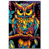 Painting by Numbers Bird Eagle Owl Portrait Colored