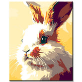 Painting by Numbers Rabbit White