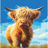 Paint by Numbers Highland Cattle Portrait