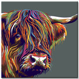 Painting by numbers Highland highland cattle head colorful shipping from DE-40*40cm-with stretcher frame-with covering service