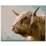 Painting by Numbers Brown Highland Highland Cow