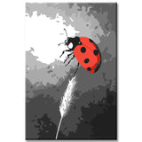 Paint by Numbers Ladybugs