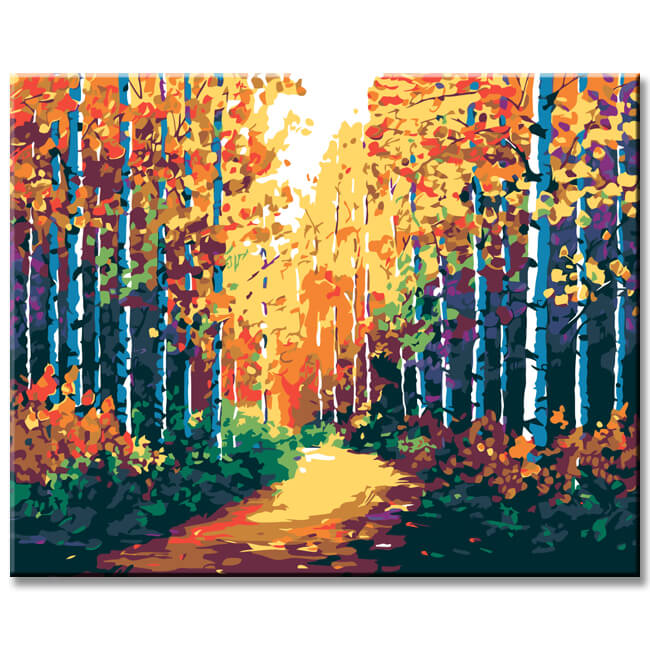Painting by numbers path in the birch forest I