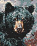 Painting by Numbers Black Bear i