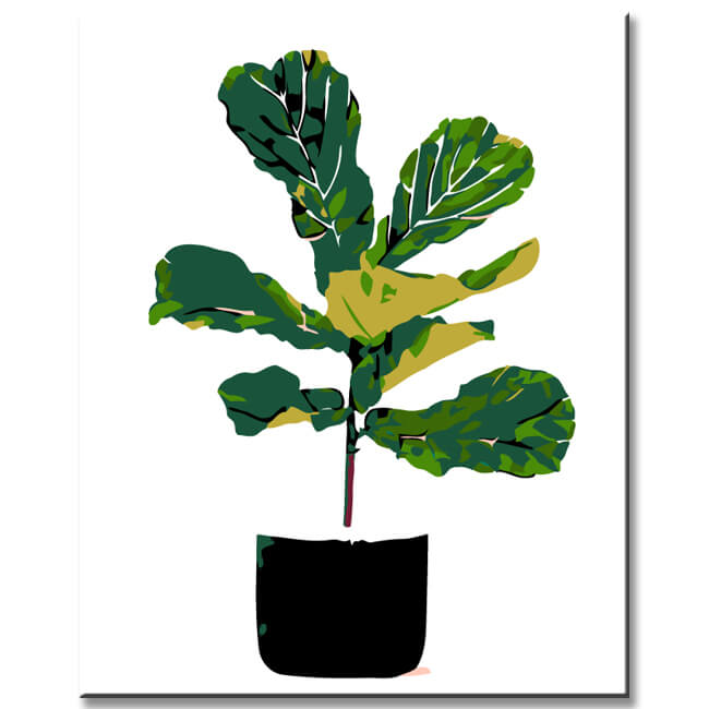 Painting by Numbers Art Fig Tree Plant
