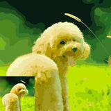Painting by Numbers From Your Own Photo