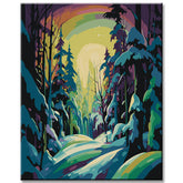 Painting by numbers: Fascinating polar sky