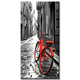 Paint by Numbers Black and White Red Bicycle
