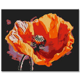 Poppies Blossom I Painting by Numbers - Shipping from DE