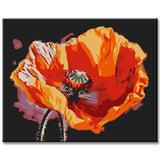 Poppies Blossom I Painting by Numbers - Shipping from DE